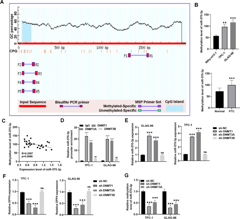 PMC11184720 – Fig4