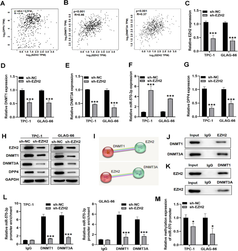 PMC11184720 – Fig5