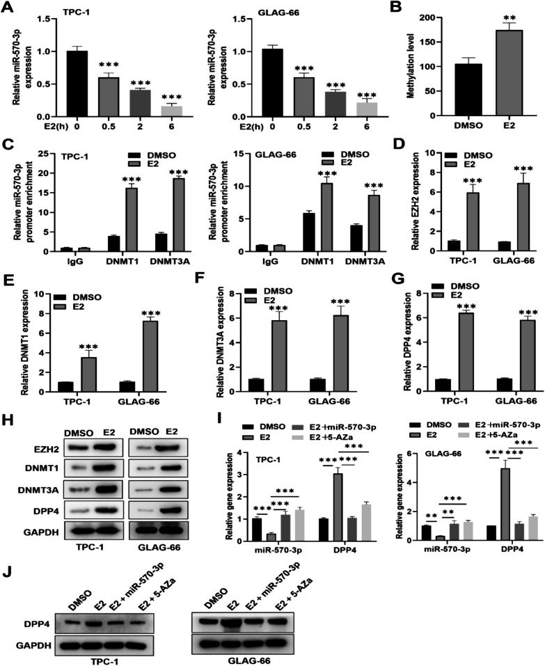 PMC11184720 – Fig6