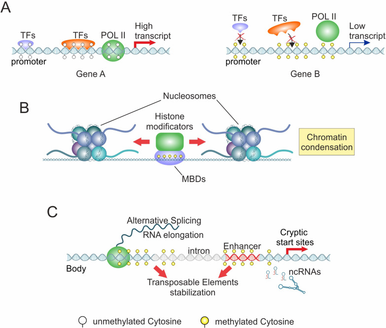 PMC12054201 – Fig2
