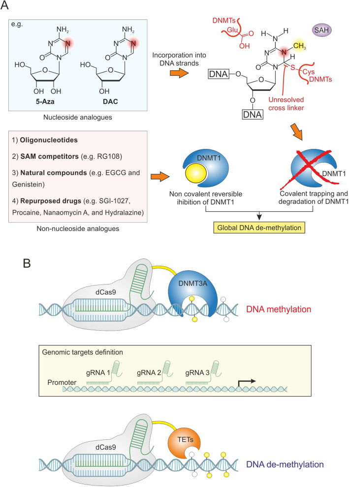 PMC12054201 – Fig3