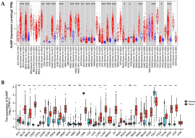 PMC12085456 – Fig1