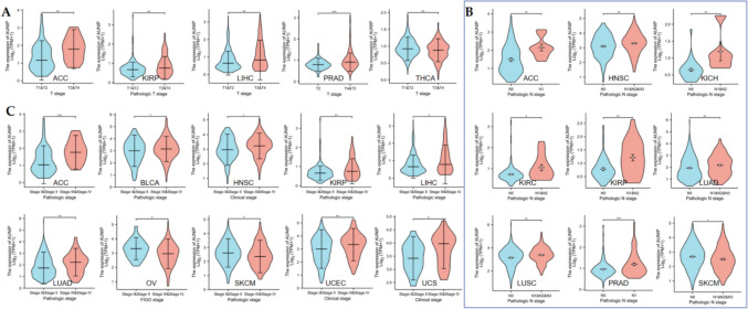 PMC12085456 – Fig3