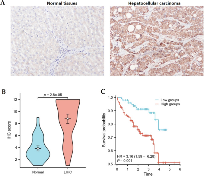 PMC12085456 – Fig9