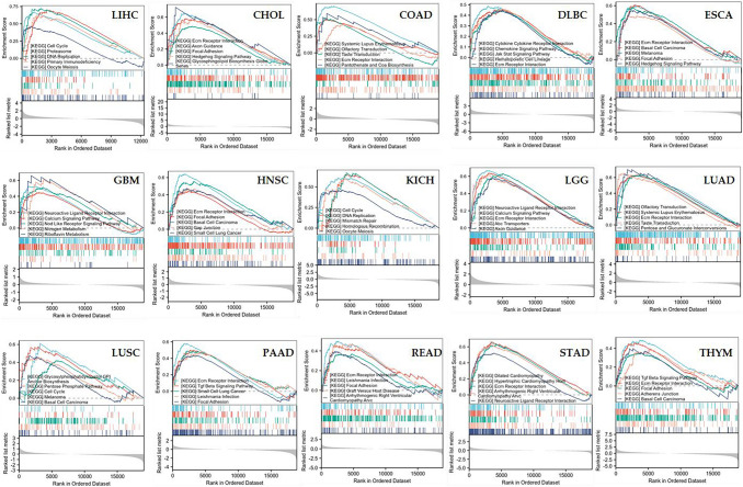 PMC12436671 – Fig10