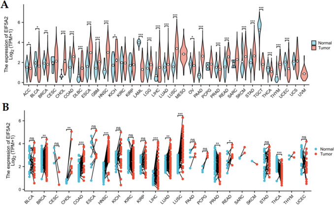 PMC12436671 – Fig1