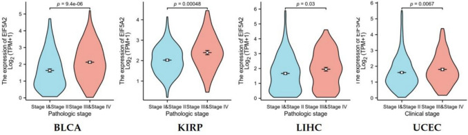 PMC12436671 – Fig2