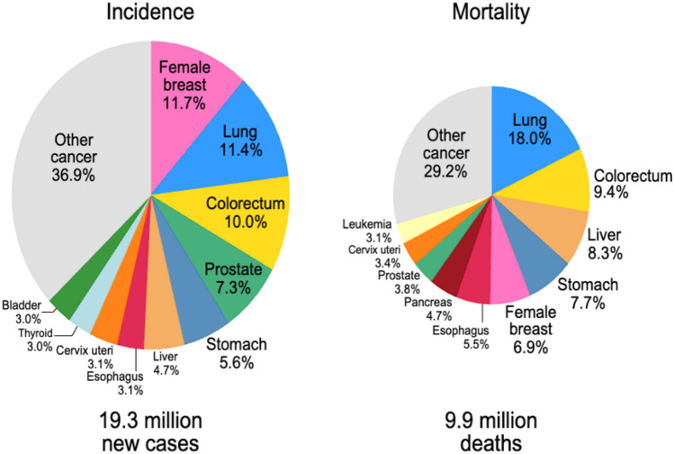 PMC12559525 – Fig1