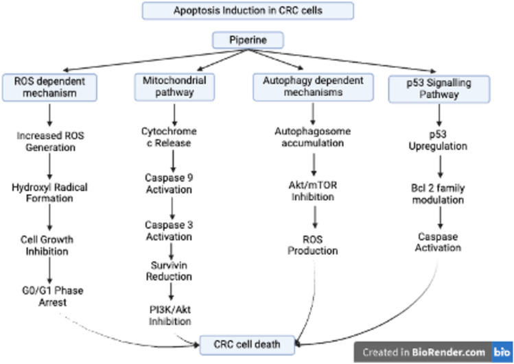 PMC12559525 – Fig5