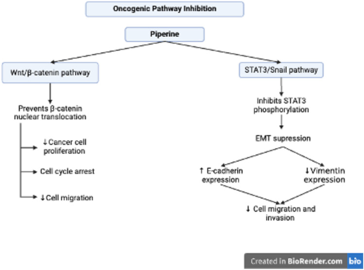 PMC12559525 – Fig6