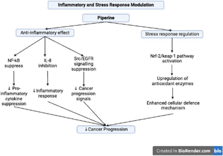 PMC12559525 – Fig7