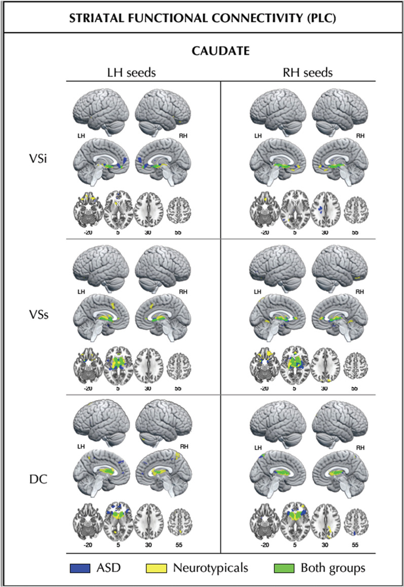 PMC8252312 – Fig2