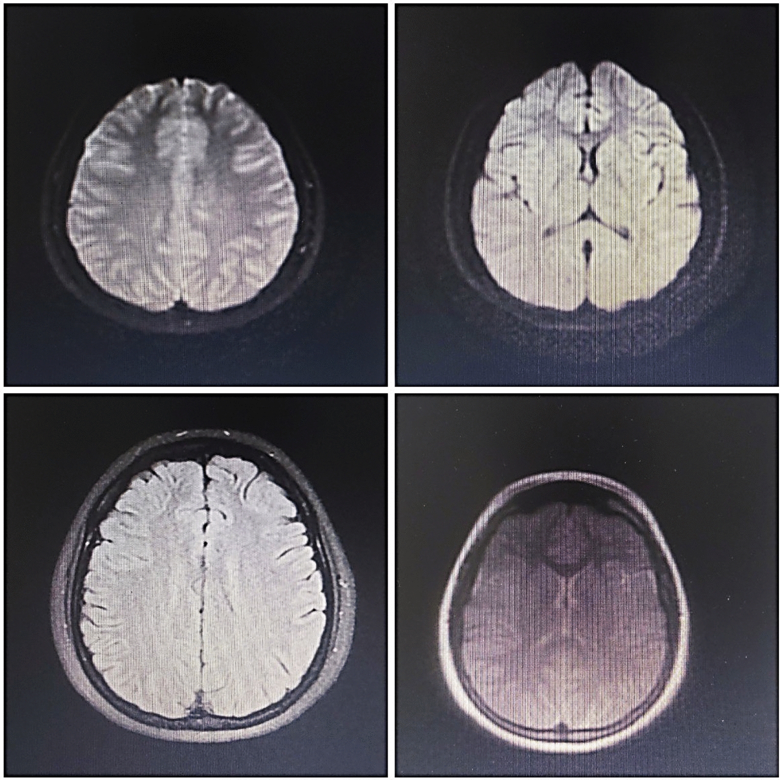 PMC11605960 – Fig1