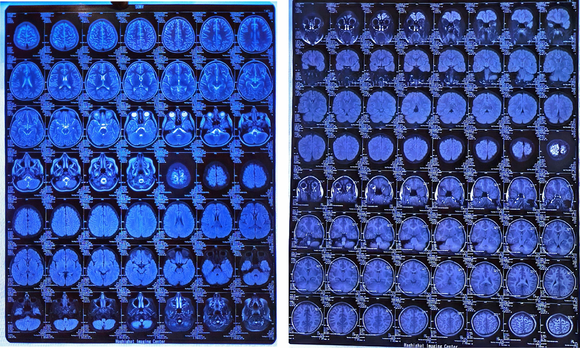 PMC11605960 – Fig2