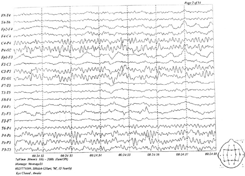 PMC11605960 – Fig3