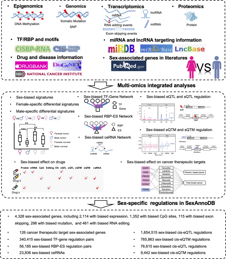 PMC11342657 – Fig1