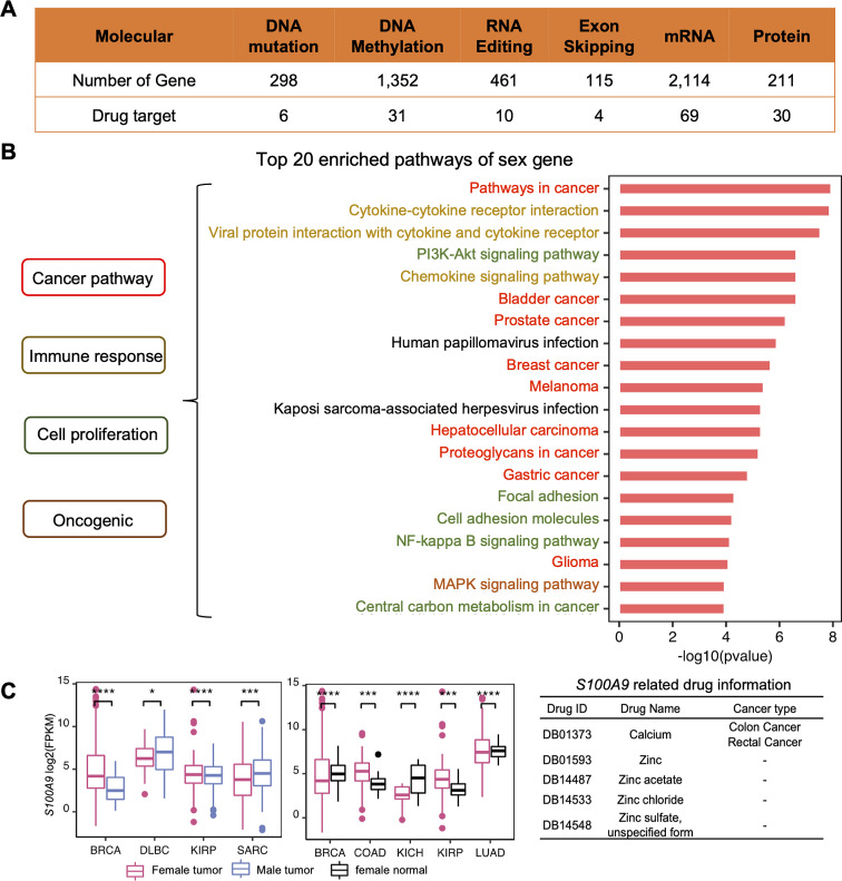 PMC11342657 – Fig2