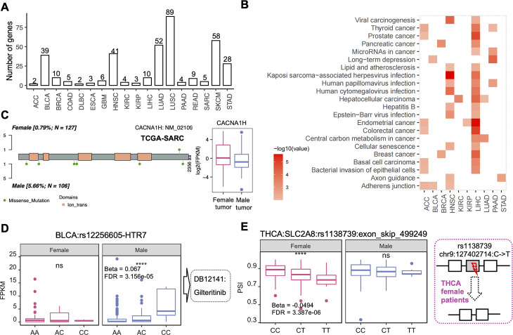 PMC11342657 – Fig3