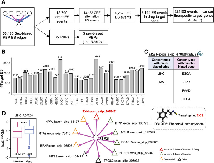 PMC11342657 – Fig5