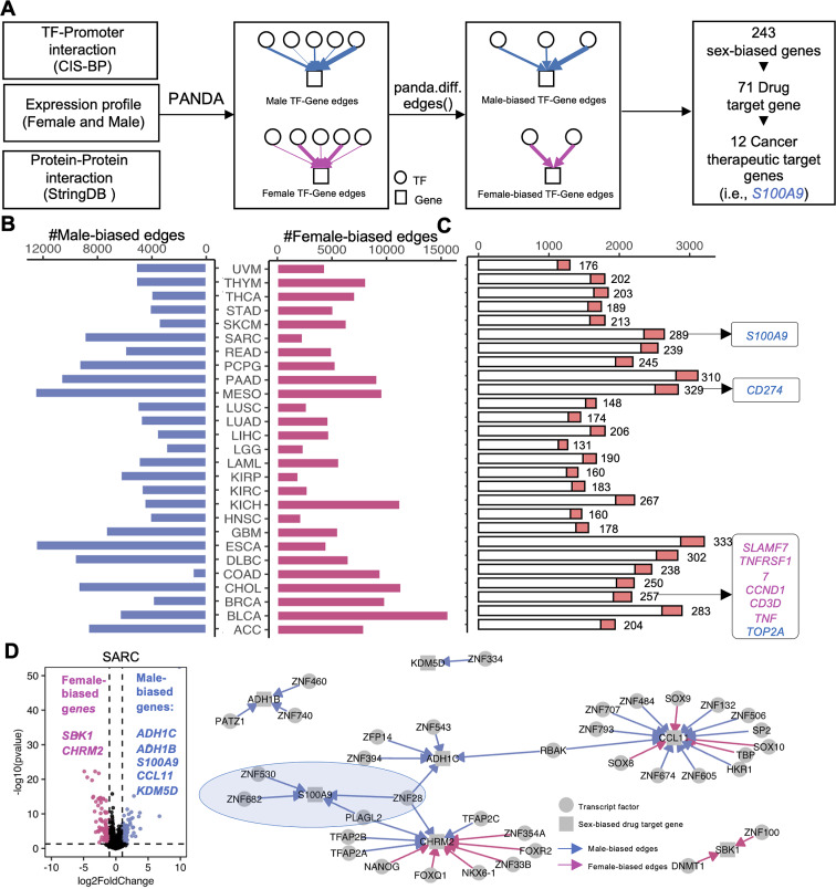 PMC11342657 – Fig6