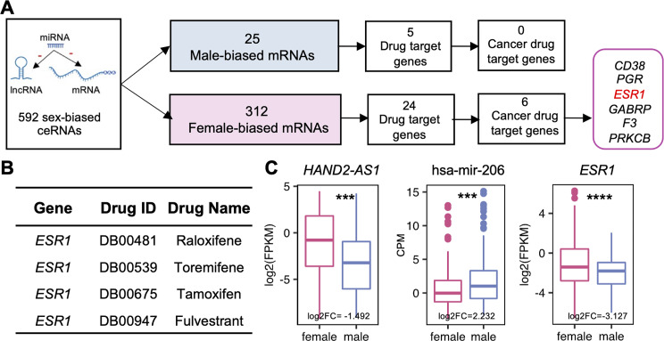 PMC11342657 – Fig7