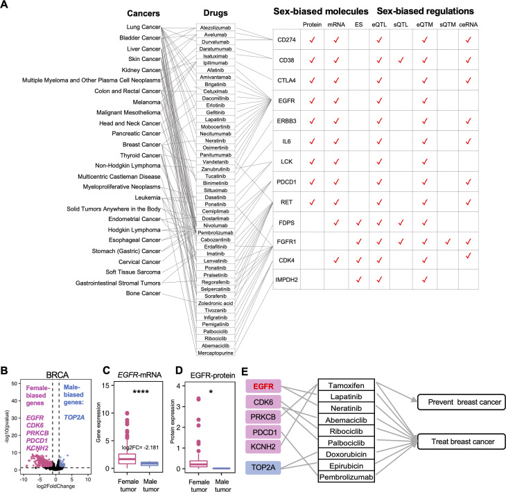 PMC11342657 – Fig8