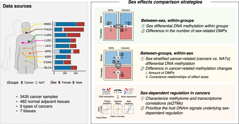 PMC11664931 – Fig1