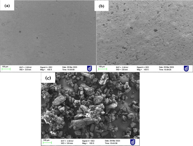 PMC10927780 – Fig13