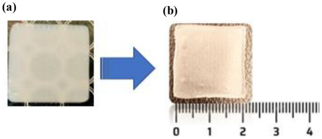 PMC10927780 – Fig9