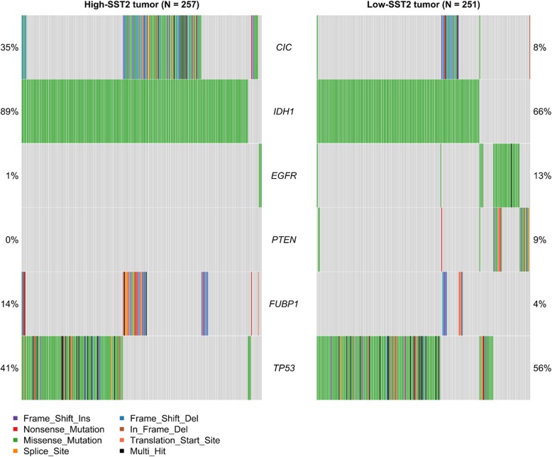 PMC7183516 – Fig3