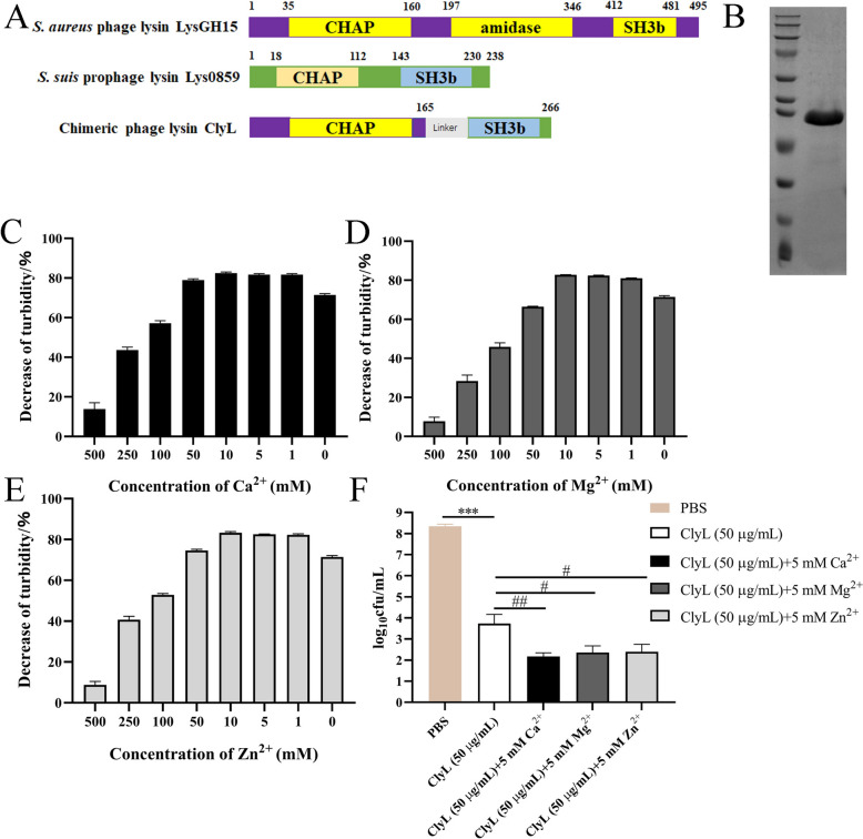 PMC11816537 – Fig1