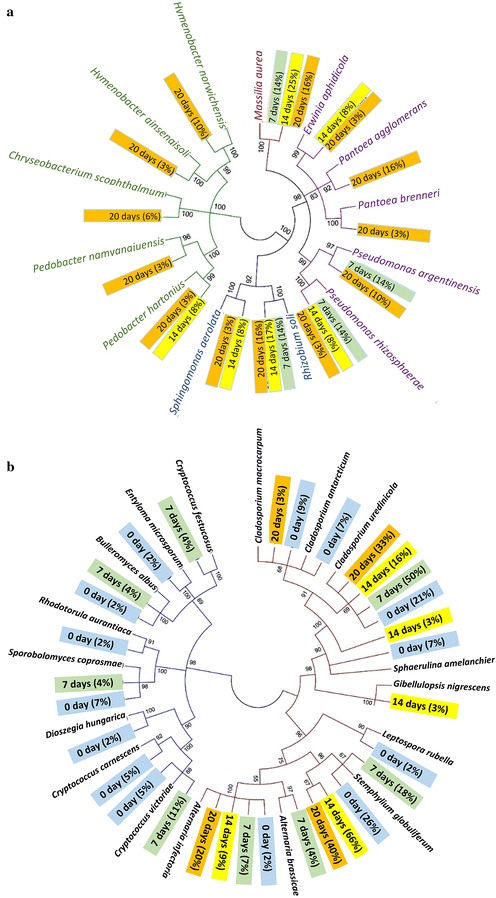 PMC5342995 – Fig2