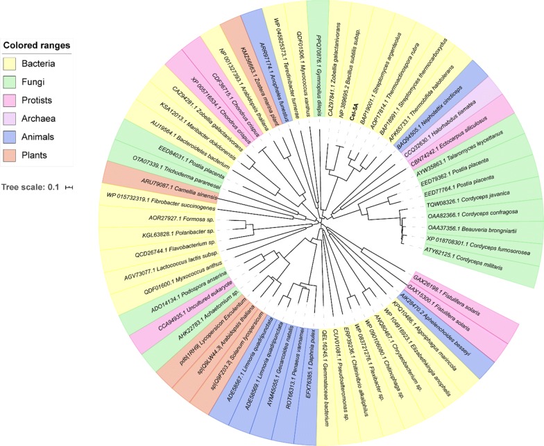 PMC7058755 – Fig3