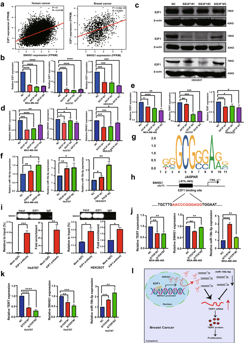 PMC8407068 – Fig6