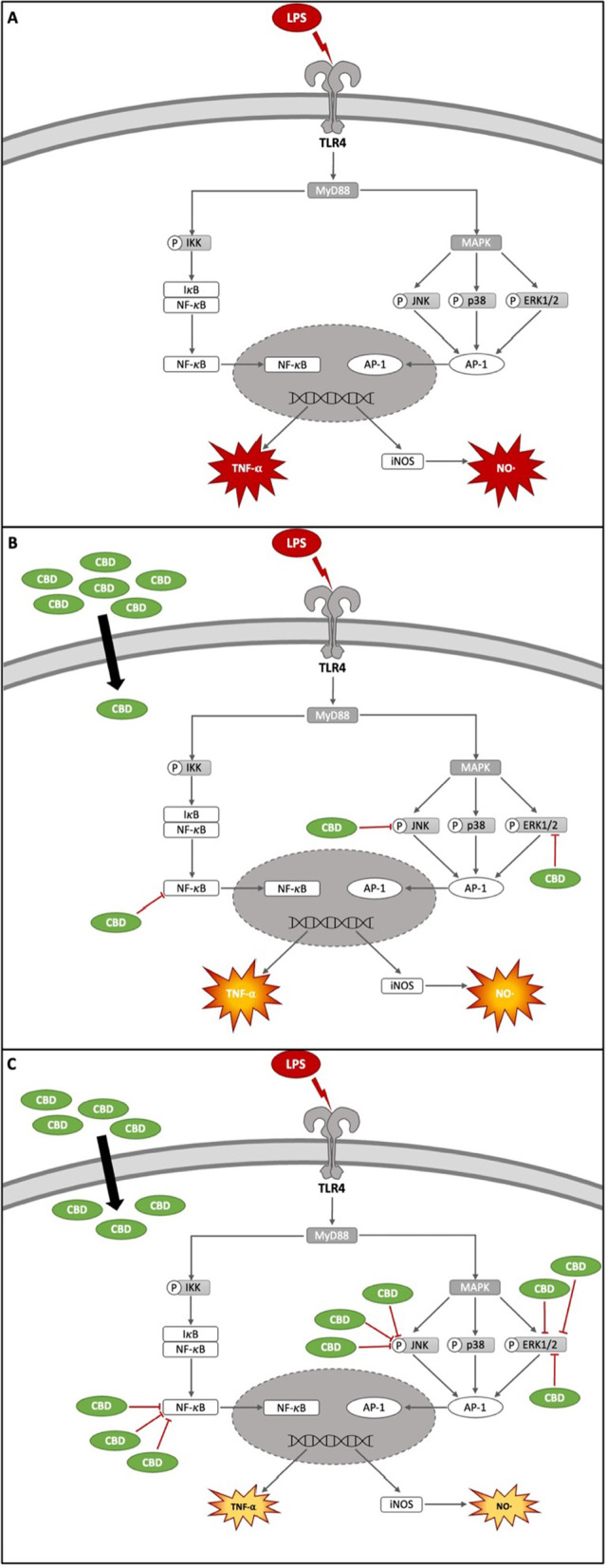PMC10247647 – Fig6