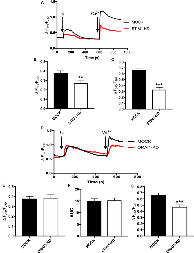 PMC8316191 – Fig2
