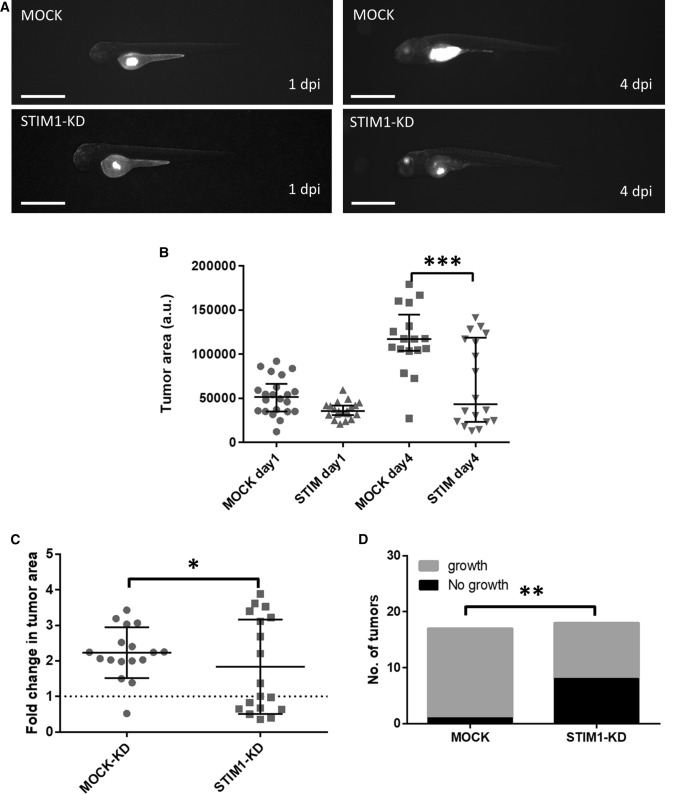 PMC8316191 – Fig7