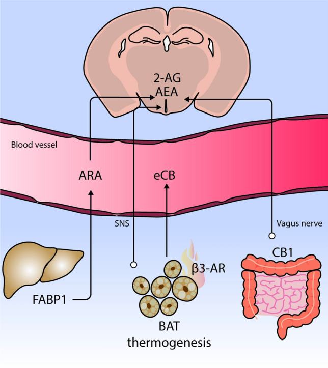 PMC8557709 – Fig4