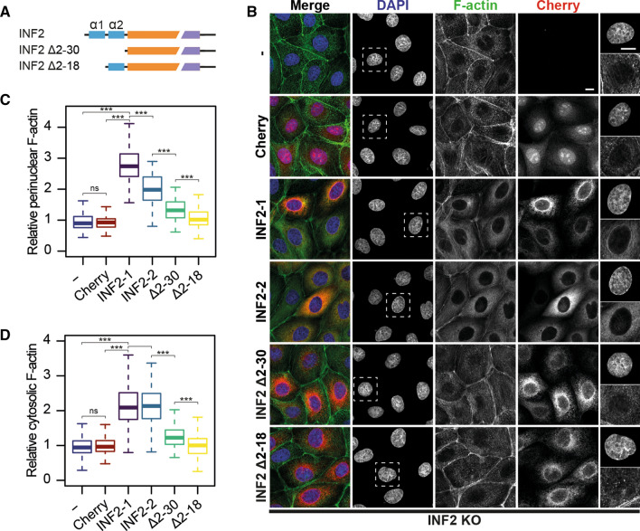 PMC9616786 – Fig2