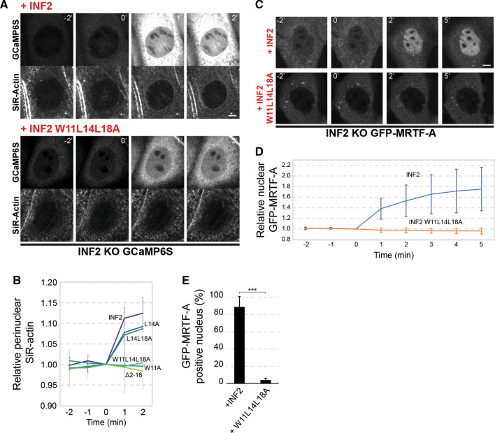 PMC9616786 – Fig8