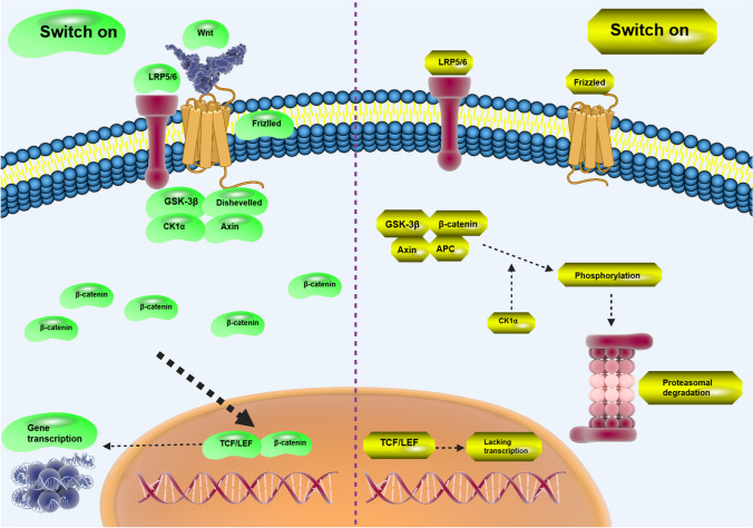 PMC10857981 – Fig1