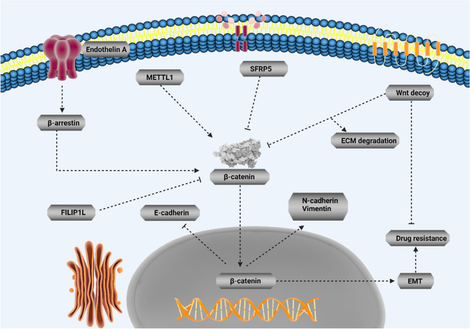 PMC10857981 – Fig3