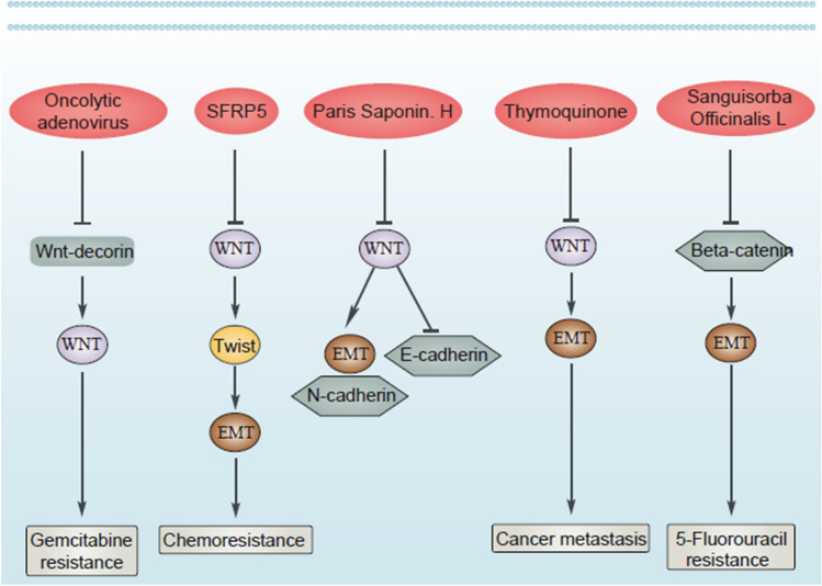 PMC10857981 – Fig4