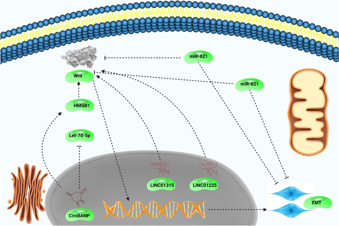 PMC10857981 – Fig5