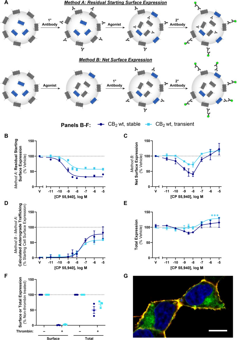 PMC12748375 – Fig1