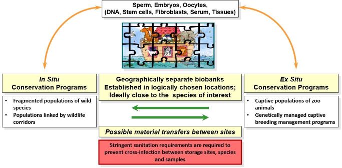 PMC10494884 – gf01