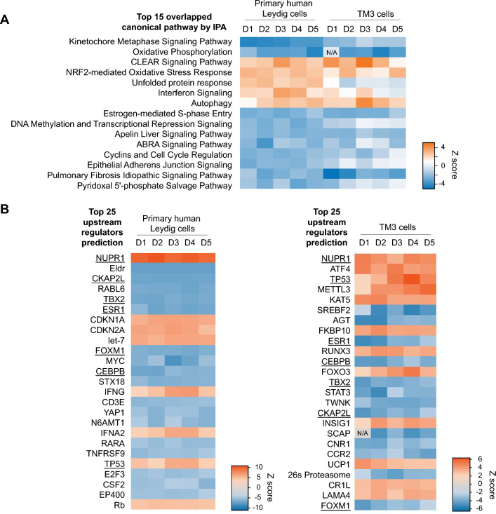 PMC11272754 – Fig7