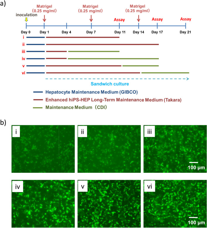 PMC11272753 – Fig1