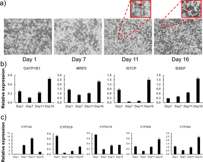 PMC11272753 – Fig3
