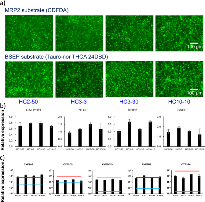 PMC11272753 – Fig4